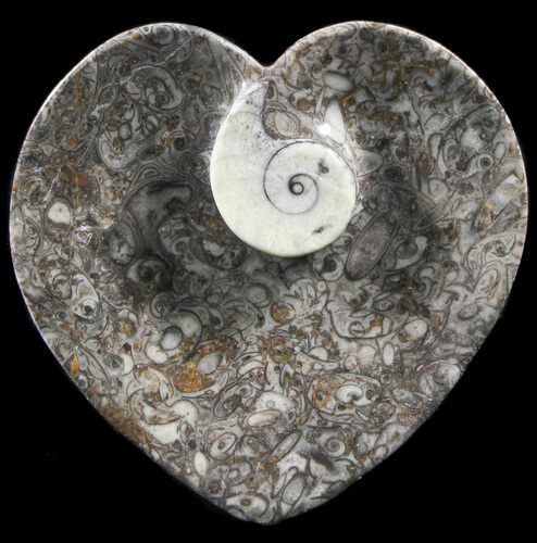 Heart Shaped Fossil Goniatite Dish #39357